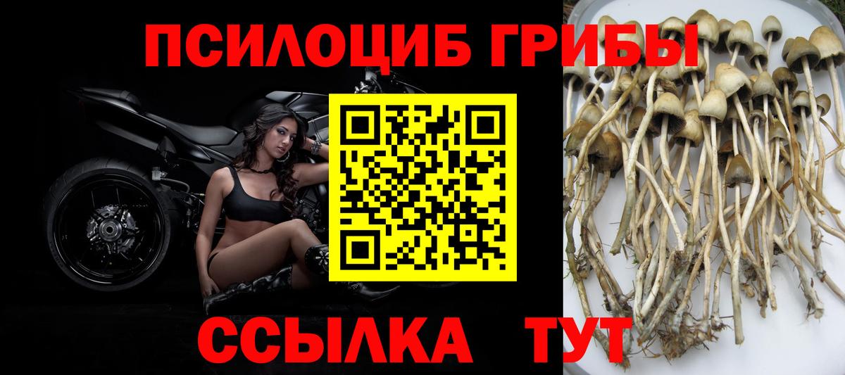 Галлюциногенные грибы ЛСД  Вход с VPN  где найти   Галлюциногенные грибы мухоморы  Чернушка 
